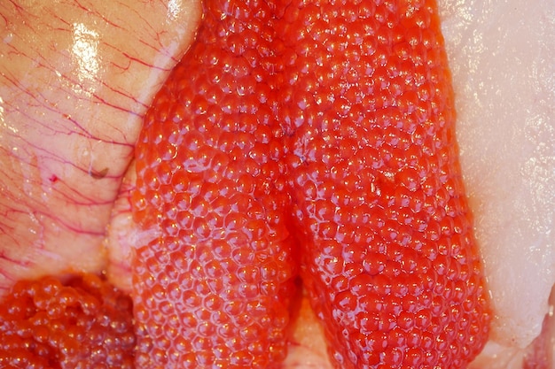 Venta de huevos de pescado crudo en el mercado de pescado