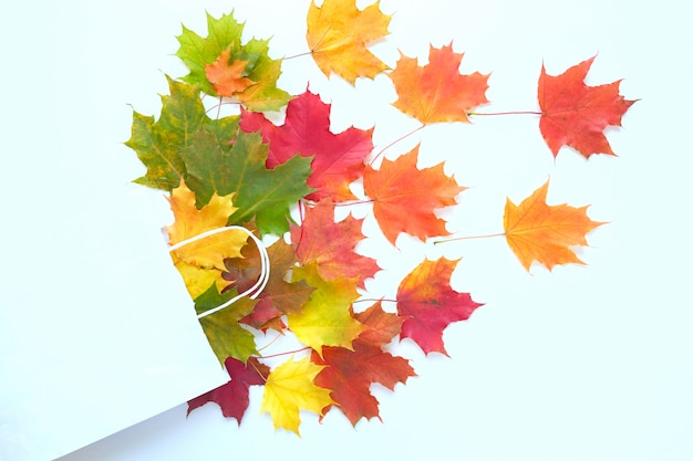 Venta de otoño Bolsa de papel con hojas de arce otoñal.