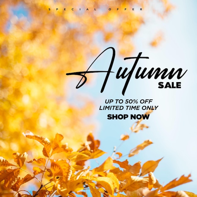 Venta de otoño