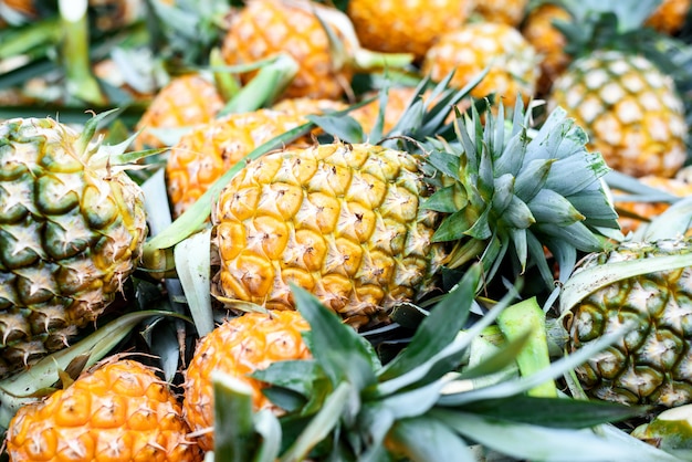 Venta de piña madura en el mercado de frutas.