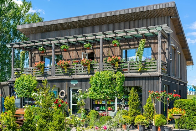 Venta de plántulas de plantas Brotes jóvenes para plantar en el suelo