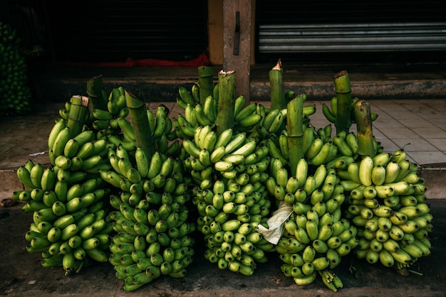 Venta de plátanos verdes recién cortados. Fruta fresca. Venta de bananos. Bazar callejero. Racimo de plátanos. Fruta asiática