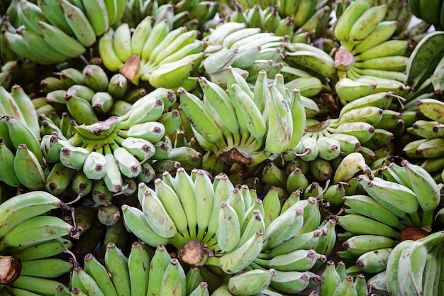 Venta de plátanos verdes recién cortados.