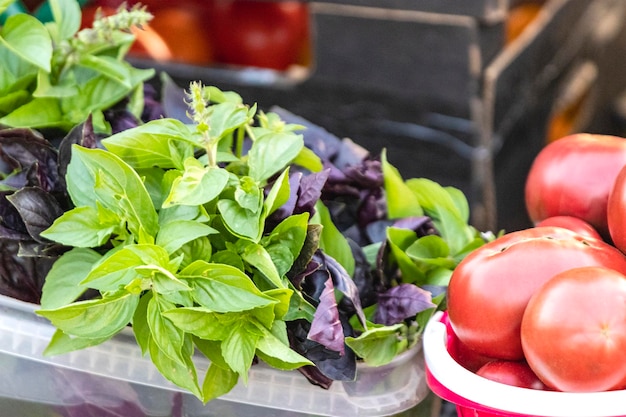 Venta de tomates maduros y albahaca en un bazar callejero Verduras maduras frescas cultivadas en una granja en un pequeño mostrador