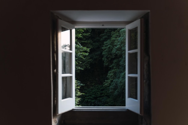 Ventana abierta en una pequeña casa con el bosque al fondo