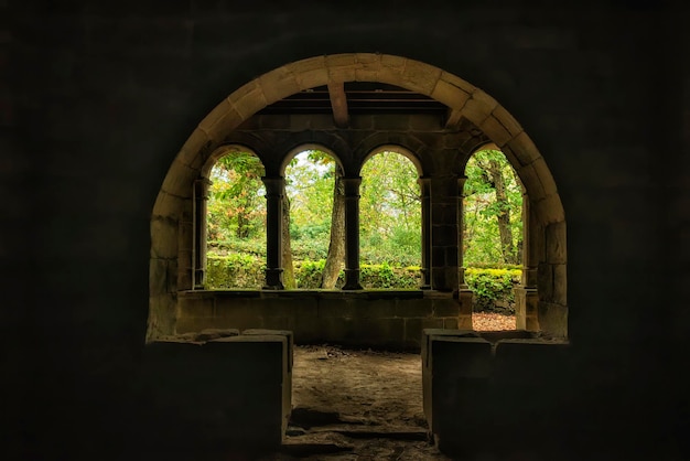 Foto ventana al bosque