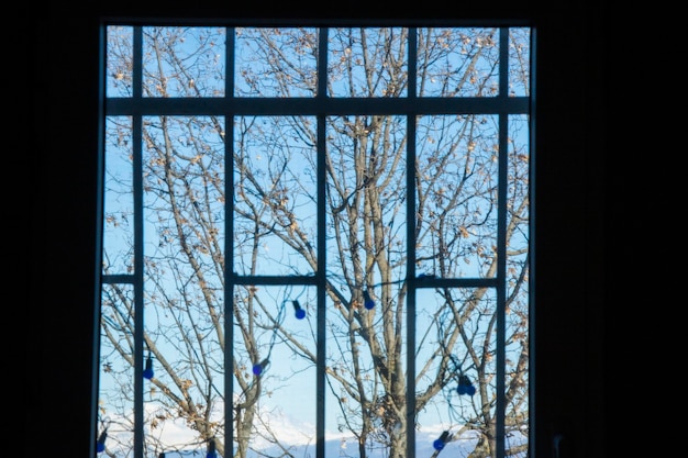 Ventana y árbol de la casa al aire libre, luz del día