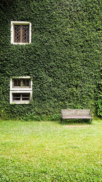 Ventana blanca y banco con pared de planta de Coatbuttons entre naturaleza verde