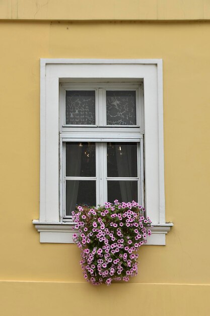 Ventana blanca con flores rosas.