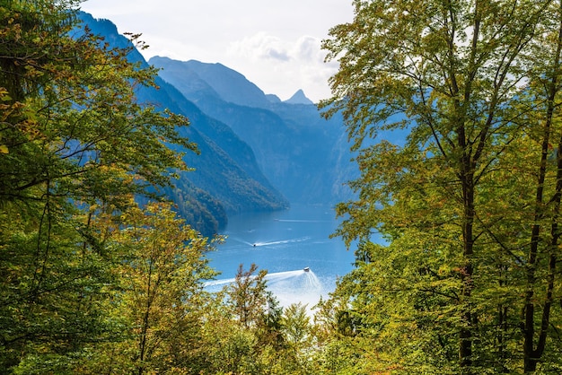 Ventana del bosque con vistas al lago cerca de Schoenau am Koenigssee Konigsee Parque Nacional Berchtesgaden Baviera Alemania