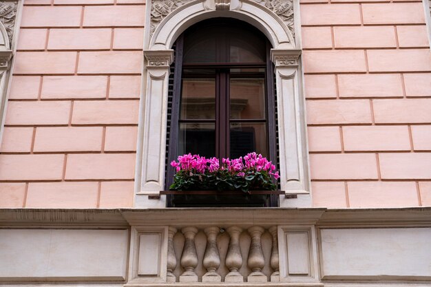 Una ventana con una caja de flores rosas en ella