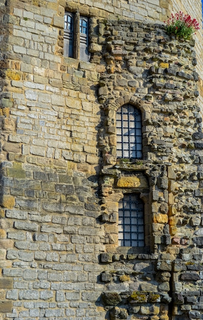 Foto la ventana del castillo de caernarfon enmarca las paredes de mampostería y algún tipo de maleza floreciente