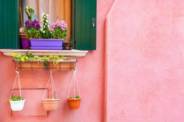Ventana con contraventanas verdes y flores en la pared rosa. Arquitectura colorida en la isla de Burano, Venecia, Italia.