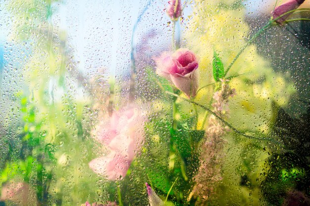 Una ventana con una flor y un fondo borroso con gotas de agua.