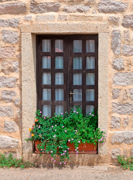 Ventana con flores en el alféizar