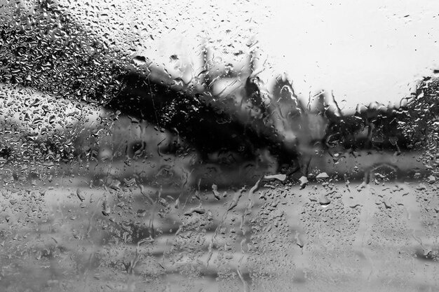 Una ventana con gotas de lluvia y un árbol al fondo.