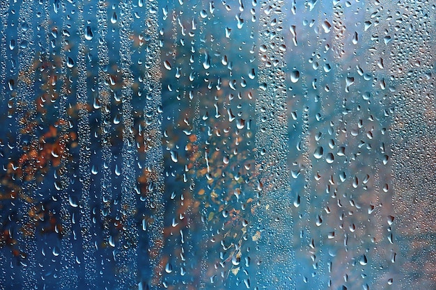 ventana de lluvia ramas del parque de otoño hojas amarillas / fondo abstracto de otoño, paisaje en una ventana lluviosa, clima lluvia de octubre