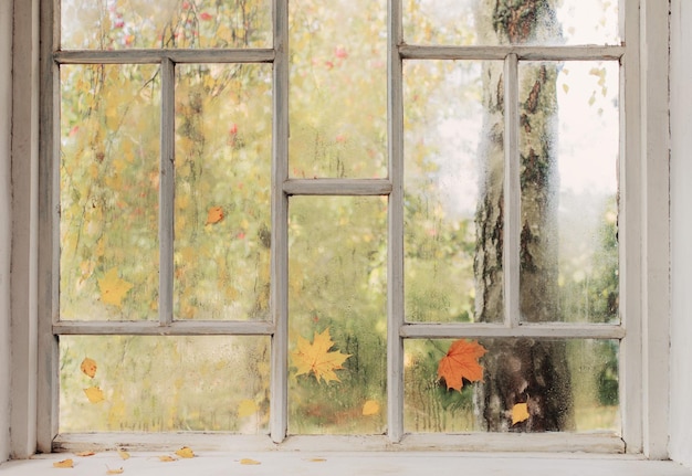 Ventana de madera vieja blanca con gotas de lluvia y hojas de otoño