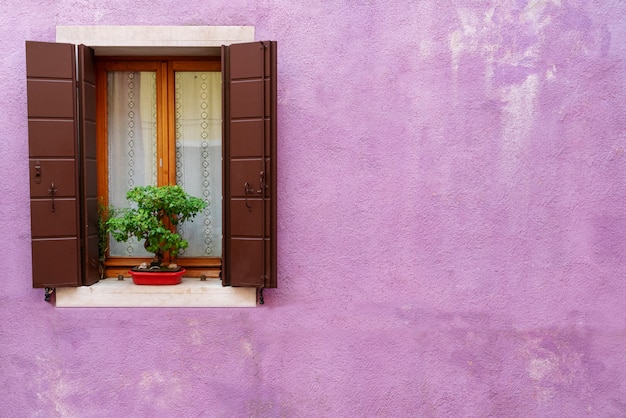 Ventana de madera vintage en agrietada pared de cemento púrpura