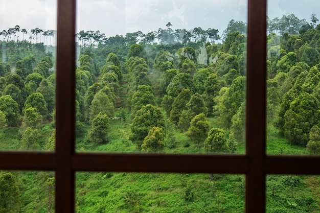 Ventana de paisaje