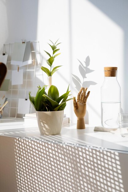 Una ventana con una planta y una botella de agua encima.