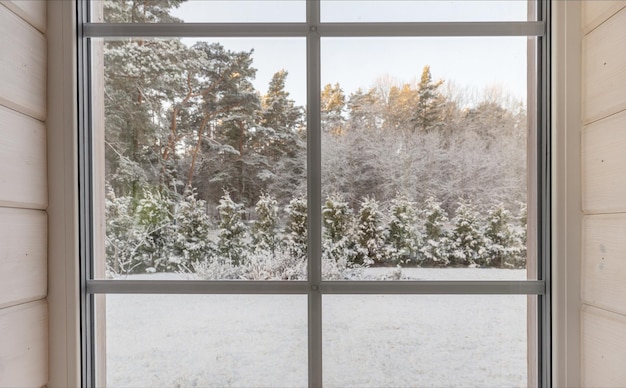 Ventanas con aislamiento de vinilo para el hogar con vista invernal de árboles y plantas nevados