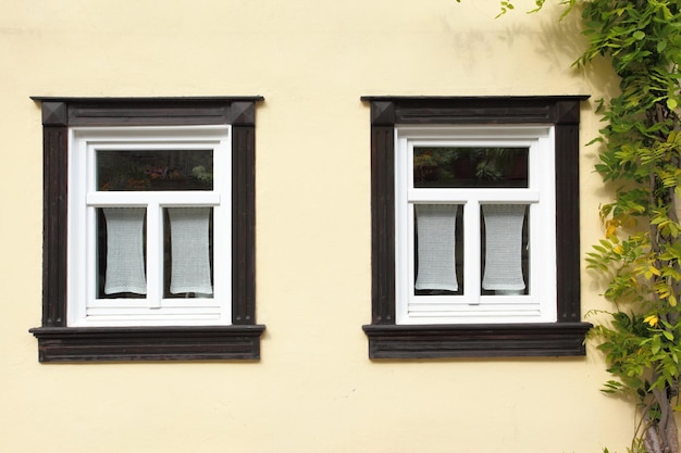 Ventanas de casa antigua con hiedra Alemania