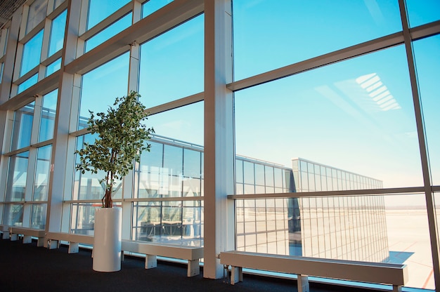 Ventanas de un centro de negocios, dentro de la planta, aeropuerto de Donetsk