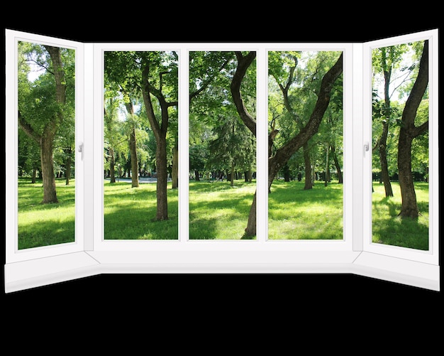 ventanas de plástico con vistas al parque de verano aislado en el negro