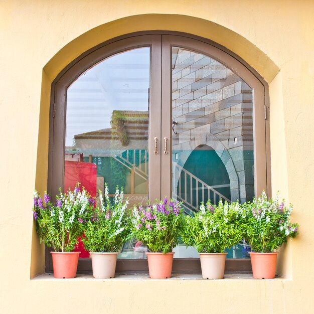 Ventanas vintage y flores frescas