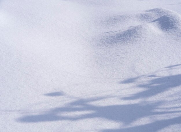 Ventisquero y textura de nieve en un día soleado