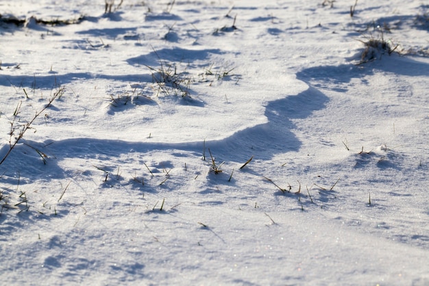 Ventisqueros de nieve en un campo con hierba