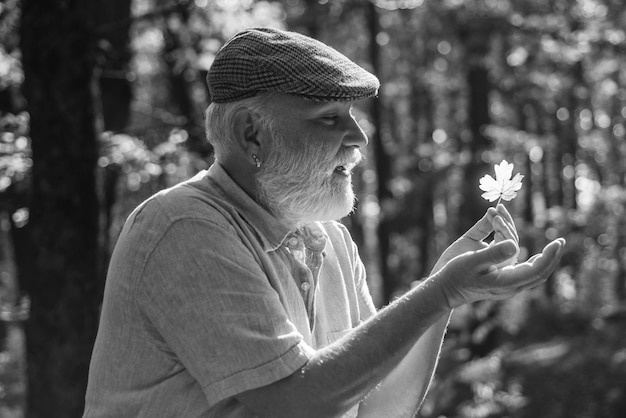 Ver a beleza nas coisas simples Curiosidade para a botânica Explorar o mundo ao redor Pensionista caminhando na floresta em um dia ensolarado de outono Homem desfrutar da natureza de outono Velho recolhe folhas Avô barbudo na floresta