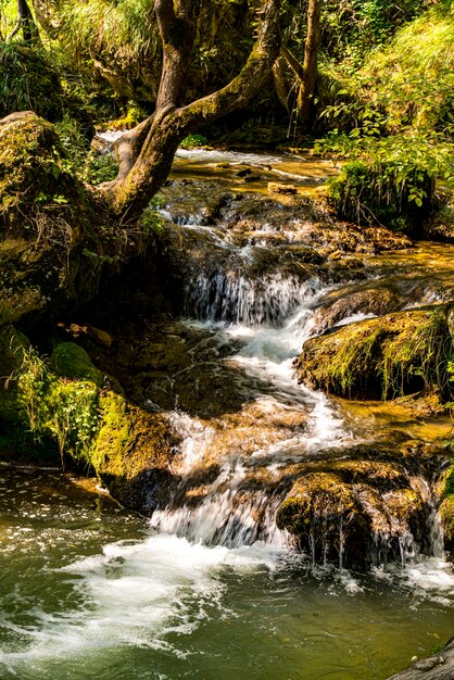 Ver a cachoeira Gostilje na montanha Zlatibor na Sérvia