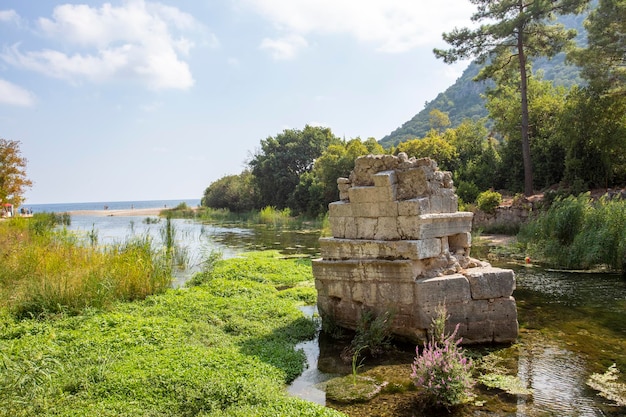 Ver en las antiguas ruinas de la ciudad licia de Olympos, Turquía.