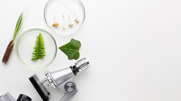 Foto ver los artículos de laboratorio de las plantas