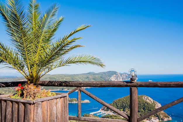 Ver en la bahía y la playa de Paleokastritsa con flores