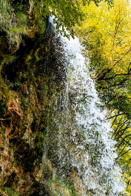 Ver en la cascada Gostilje en la montaña Zlatibor en Serbia