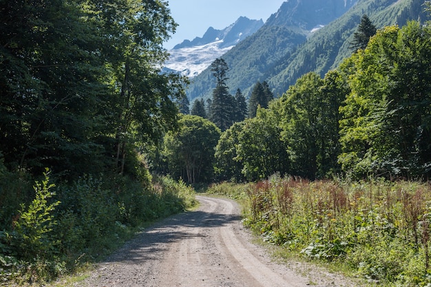 Ver cenas da floresta no Parque Nacional Dombai, Cáucaso, Rússia, Europa. Paisagem de verão, clima ensolarado, céu azul dramático e dia ensolarado