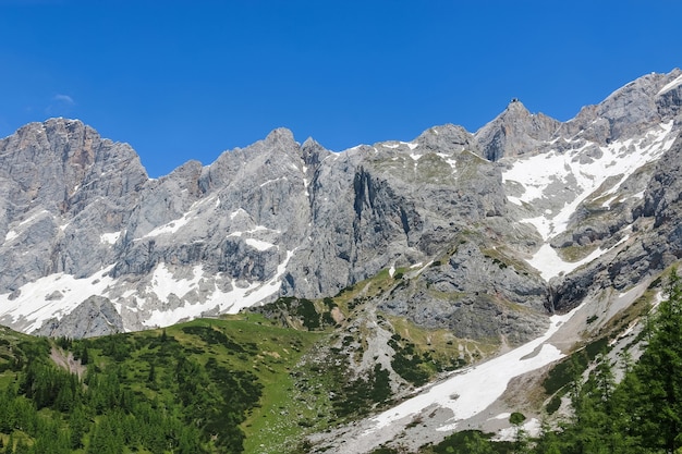 Ver de cerca las montañas alpinas en el parque nacional Dachstein, Austria, Europa. Cielo azul y bosque verde en día de verano