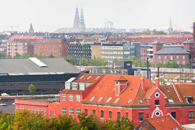 Ver en Copenhague en día de otoño