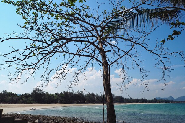 Ver la costa del mar azul-verde y fondo de cielo azul