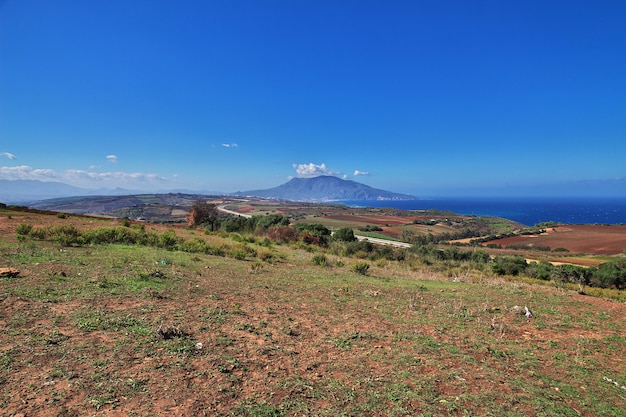 Ver en la costa mediterránea en Argelia, África