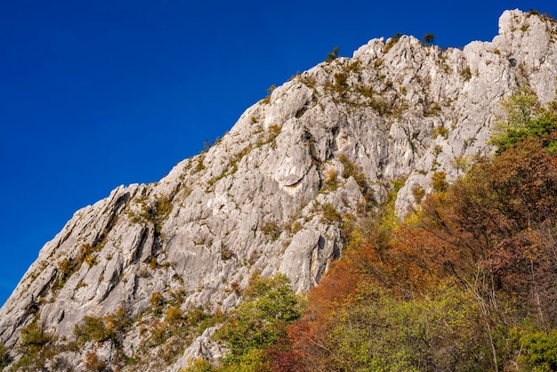 Ver en el desfiladero del Danubio en Djerdap en Serbia