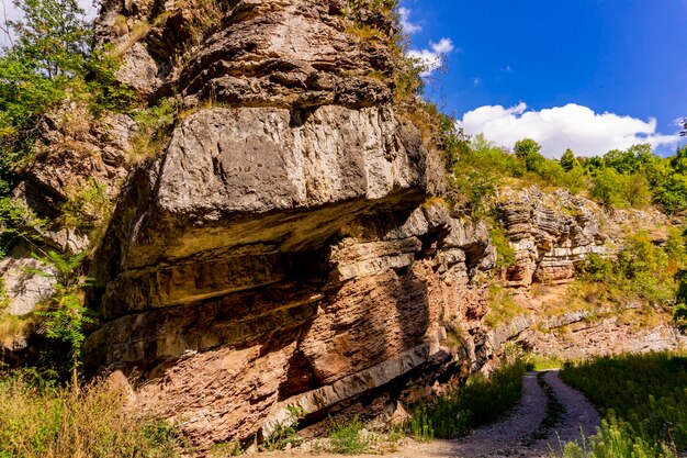 Ver en el desfiladero del río Boljetin en el este de Serbia