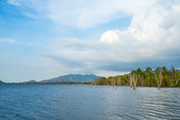 Ver en el embalse de Bang Phra, Sriracha, Chonburi, Tailandia