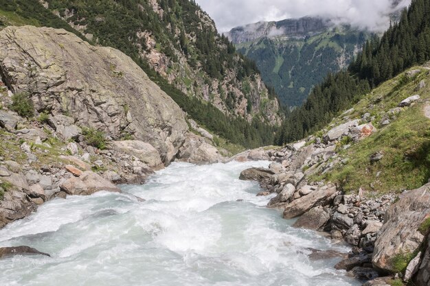 Ver escenas de primer plano del río en las montañas, el parque nacional de Suiza, Europa. Paisaje de verano, clima soleado y día soleado.