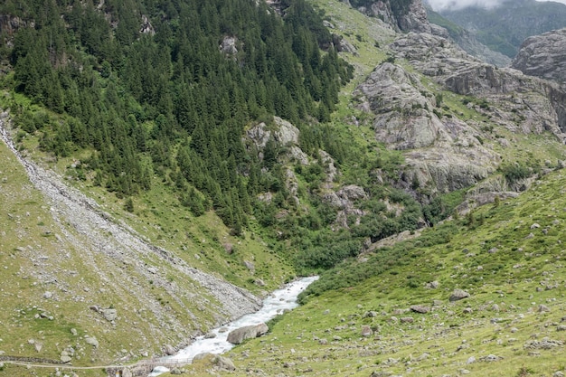 Ver escenas de primer plano del río en las montañas, el parque nacional de Suiza, Europa. Paisaje de verano, clima soleado y día soleado.