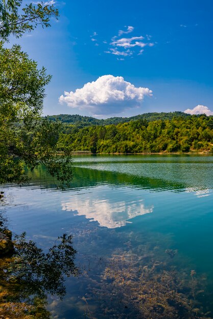 Ver en el lago Grliste cerca de Zajacar en Serbia oriental