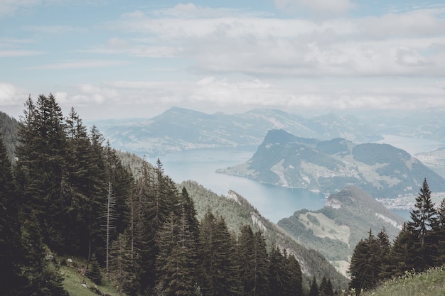 Ver en el lago de Lucerna y escenas de las montañas, Lucerna, Suiza, Europa. Paisaje de verano, clima soleado, espectacular cielo azul y día soleado